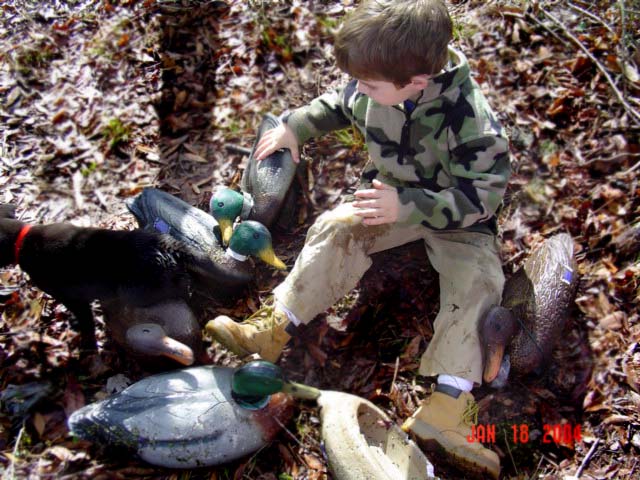 A boy, his dog and the decoys.. Oh my!