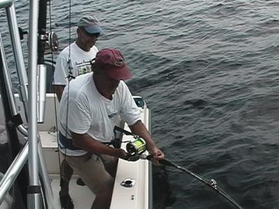 Tuna action