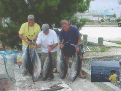 tuna-overnight082302.gif