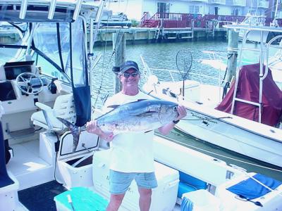 Early season Tuna bite