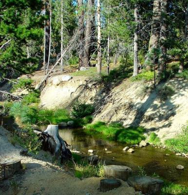 DONNER CREEK AFTERNOON  CONTRASTS