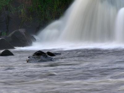 Stone and waterfall / Piedra y cascada