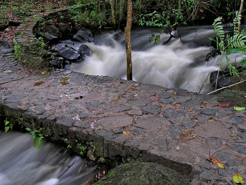 Small bridge / Pequeo puente