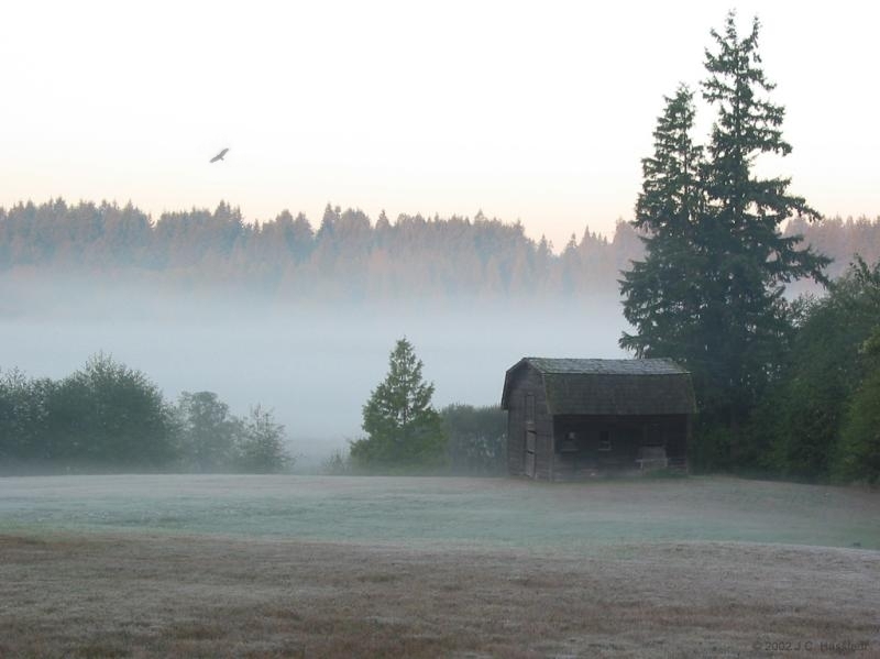 Barn Landscape