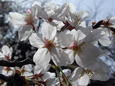 u14/ganaraska/medium/41779343.PA280046.jpg