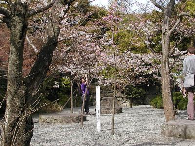 Kamakura