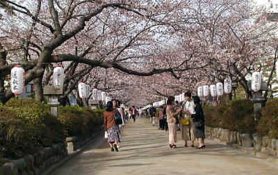 Kamakura