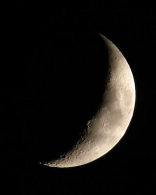 IMG_0576_500.jpg