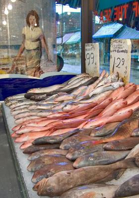Kensington fish market