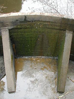 Dam forming Jewel Lake in Tilden Regional Park.
Dam-PB120007-DPC.jpg