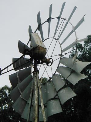 Windmill at the Little Farm, Tilden Regional Park.
Windmill-PB120004-DPC.jpg