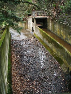 Viaduct downstream from the dam at Jewel Lake, Tilden Regional Park.
FloodControl-PB120008-DPC.jpg