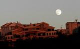 Moon light  #1.jpg