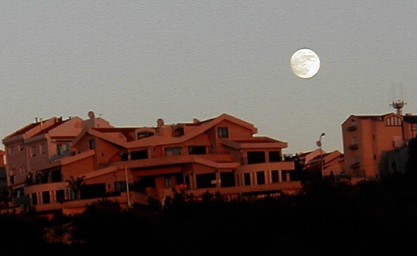 Moon light  #1.jpg