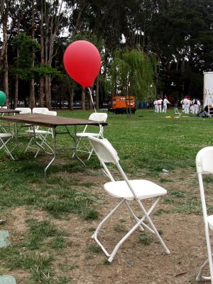 P8246362.jpg