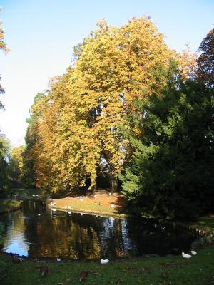 stadspark sint-truiden