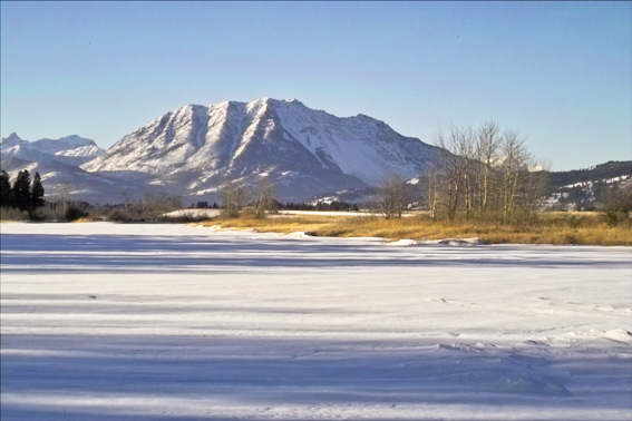 Turtle Mountain (Frank Slide)