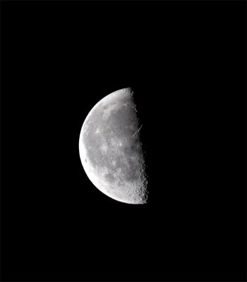 IMG_2442