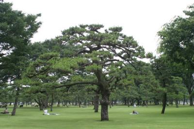 Part of the Imperial Palace Grounds