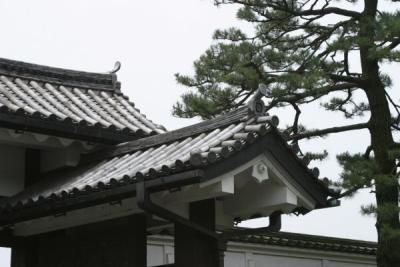 This was the beginning of my fascination with roof lines in Japan.  You'll see plenty of other pictures similar to this one.