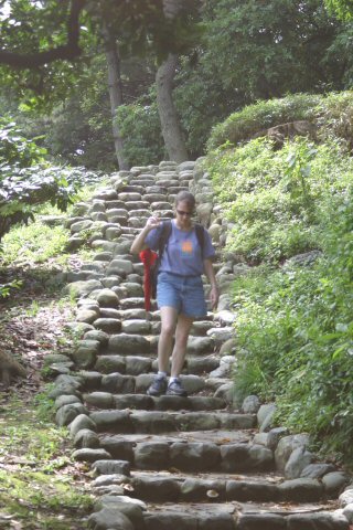 Taking a walk down the ...this would never pass ADA inspection in the US stairs at
