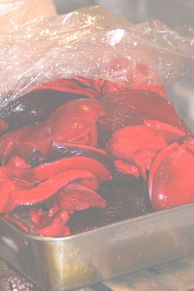 Pickled Octopus