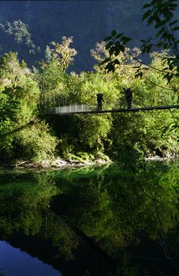 bridge on day 4