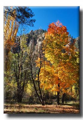 Falls Colors Along Oak Creek Canyon
