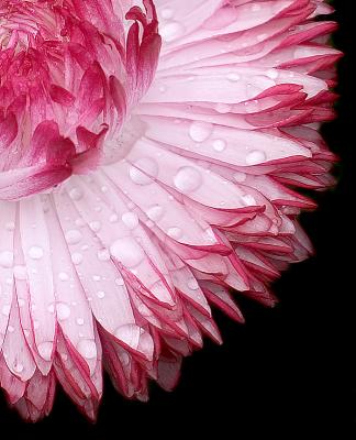 179 Droplets