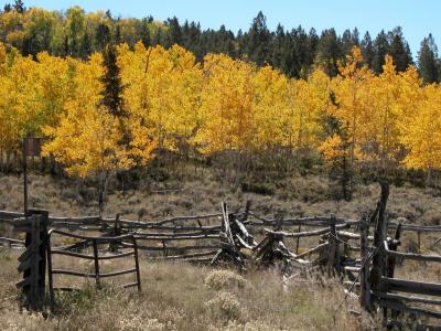 Lake City cutoff road