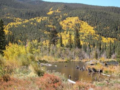 Cottonwood Pass