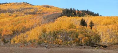 Between Silverthorne and Steamboat Springs