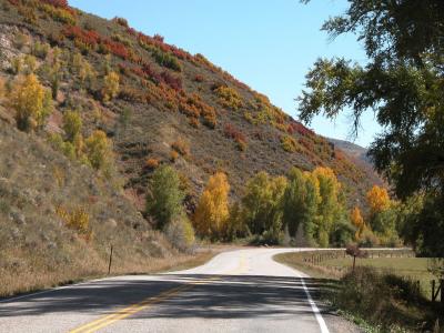 Near Steamboat Springs