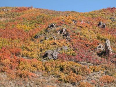 Near Steamboat Springs