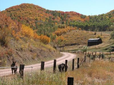 Rt 131, Between Oak Creek and Toponas