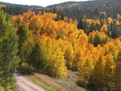 Near Gore Pass