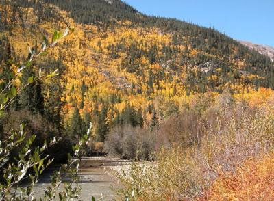 RT 82, Between Twin Lakes and Aspen