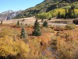 RT 550, Between Ouray and Silverton