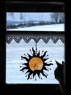 Cat Winter Sun