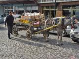 The fruit vendor