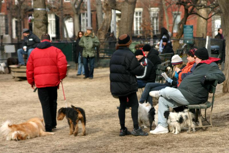 Georges Dog Run Washington Square Park