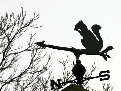 u14/hjsteed/medium/38678470.050115022WSPWeathervane.jpg