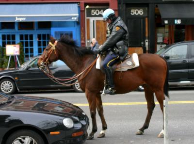 Ticketing an Illegally Parked Car