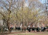 First Warm Spring Day