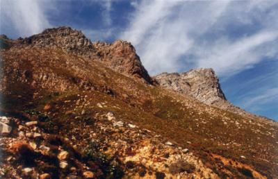 Coastline Mountains