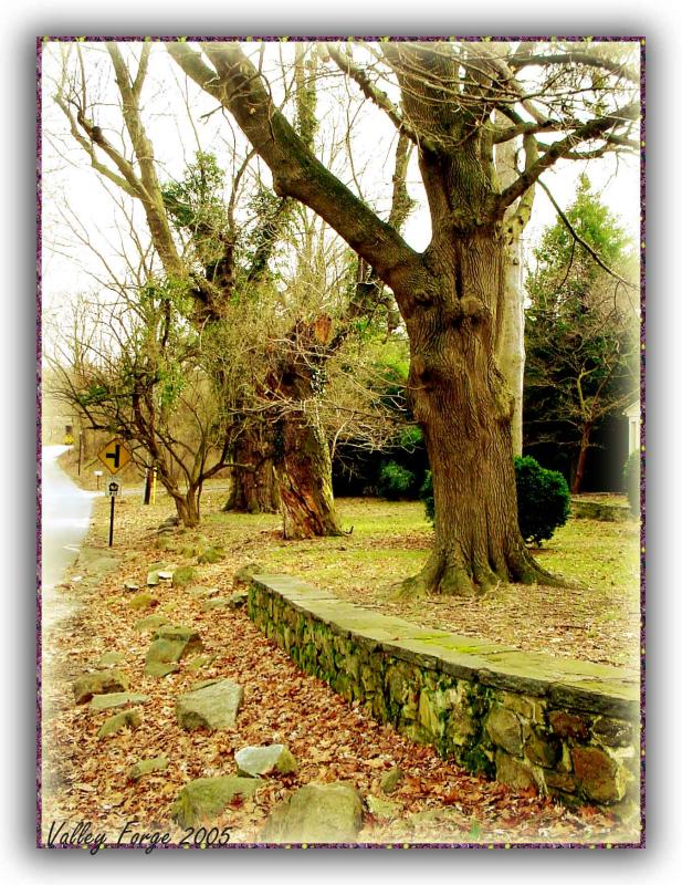Winter at Valley Forge