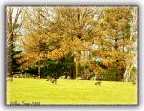 Winter at Valley Forge