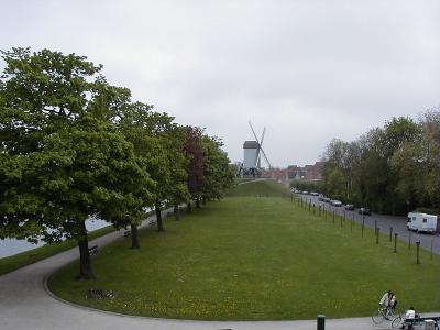 P5040150a.jpg