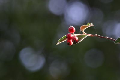 IMG_7488.JPG