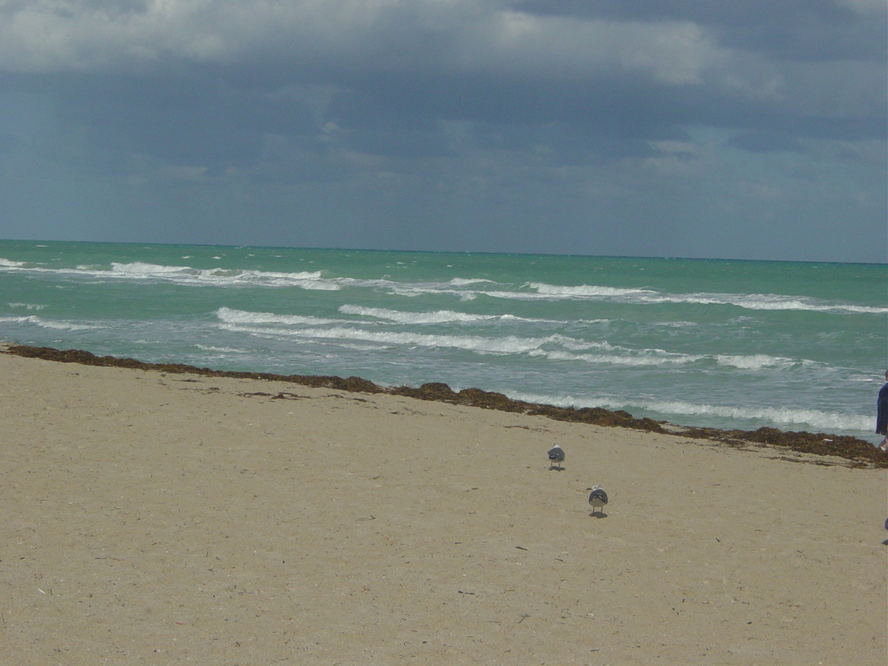 DSC02763.JPG